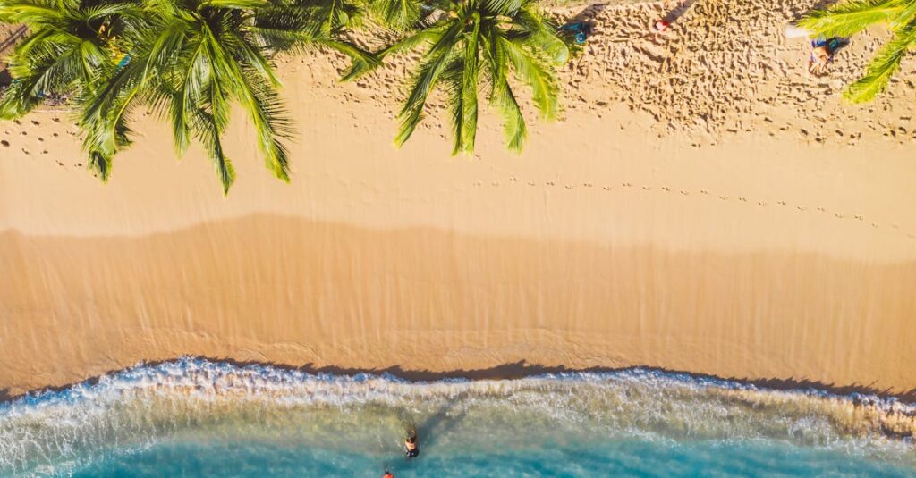 Stunning overhead shot of a tropical beach with swaying palm trees and ocean waves hitting the sandy shore.